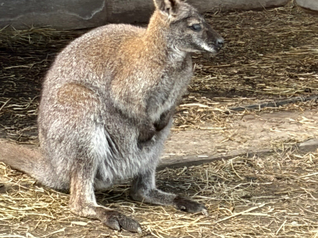 Peak Wildlife Park-Winkhill必去景点