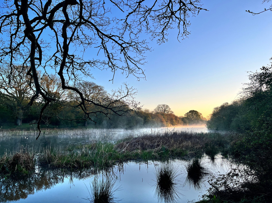 Knepp Wildland Safaris-霍舍姆必去景点