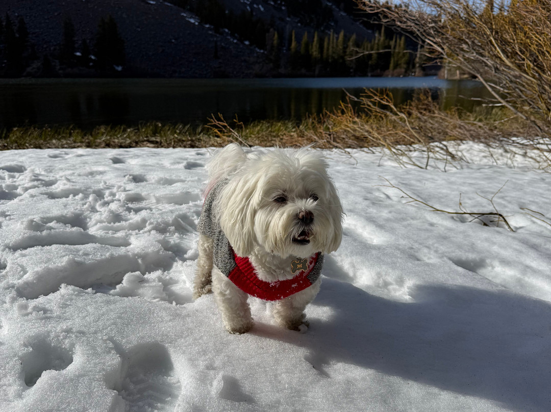 塔马拉克小屋主图