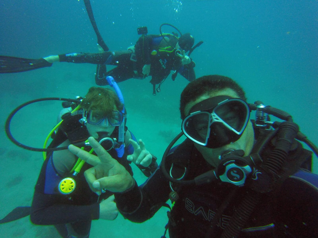 Pro Master Diving Club-赫尔格达必去景点