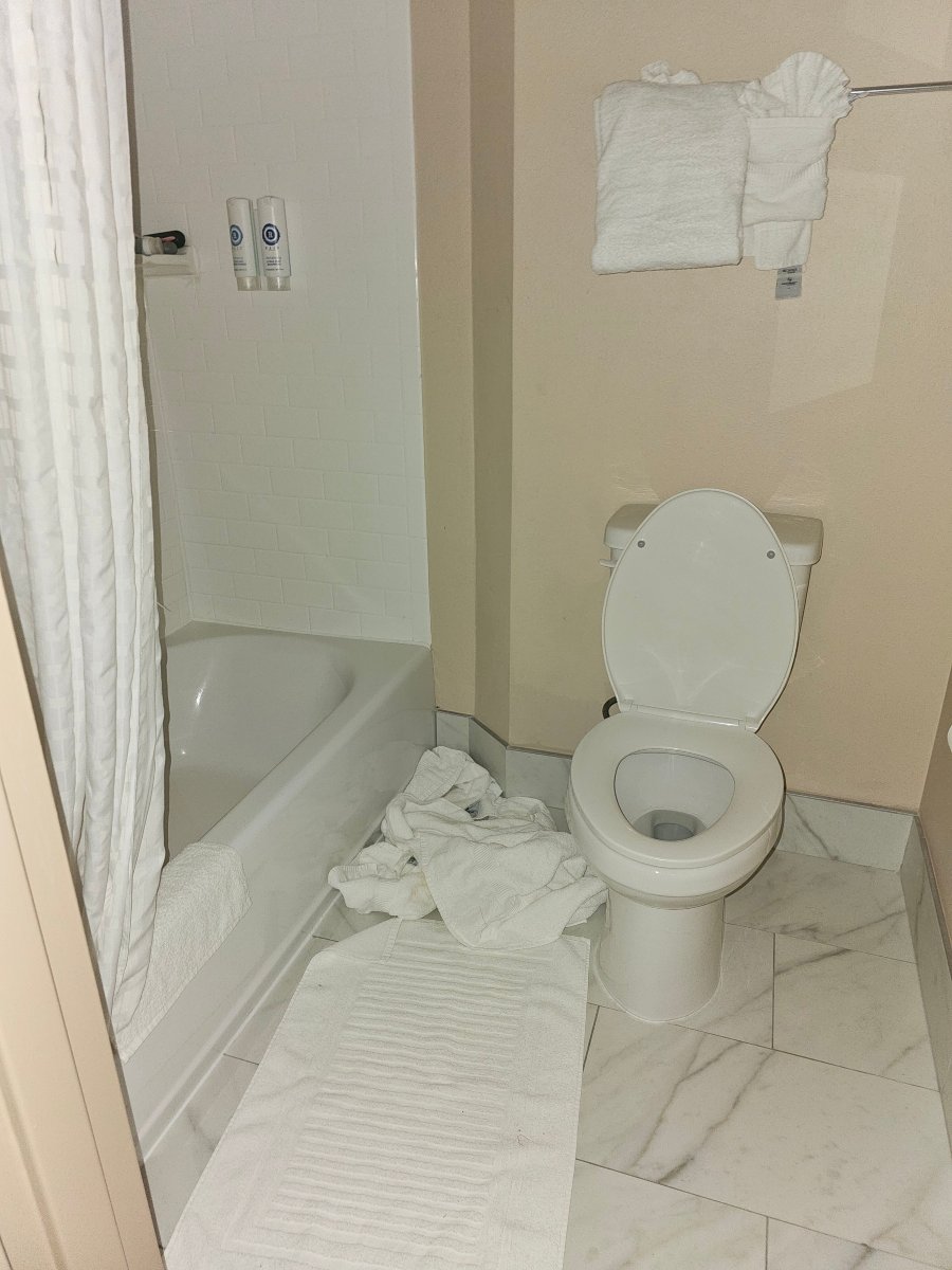 Comfort Inn & Suites Hadley - Amherst-旅行者