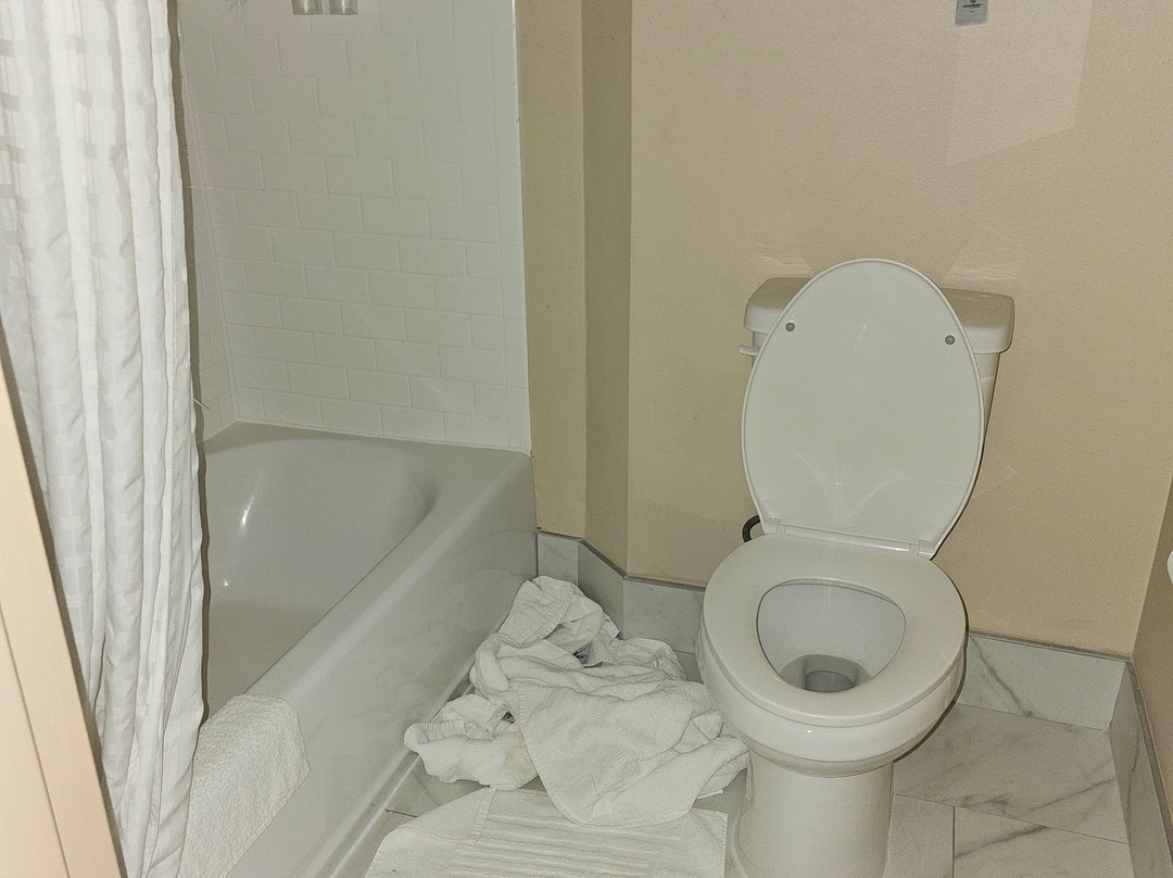Comfort Inn & Suites Hadley - Amherst主图