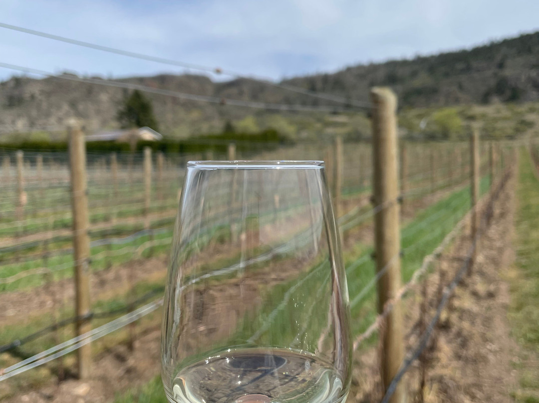Bartier Bros. Vineyard & Winery-Oliver必去景点