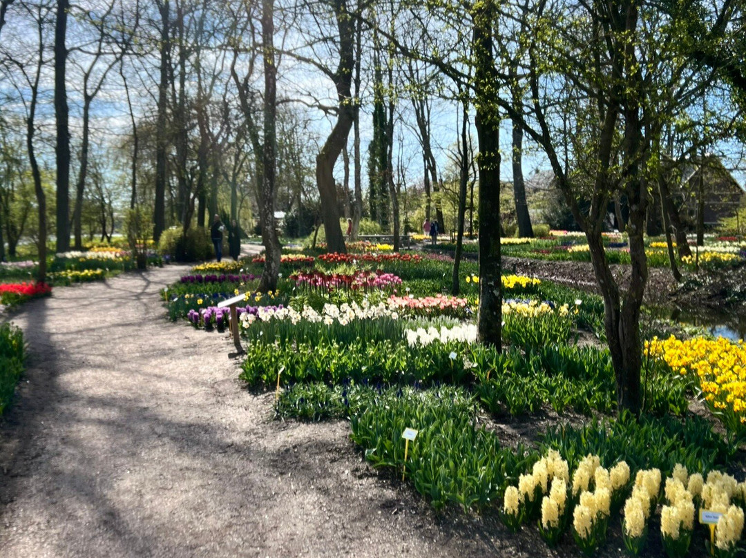 Poldertuin-Anna Paulowna必去景点