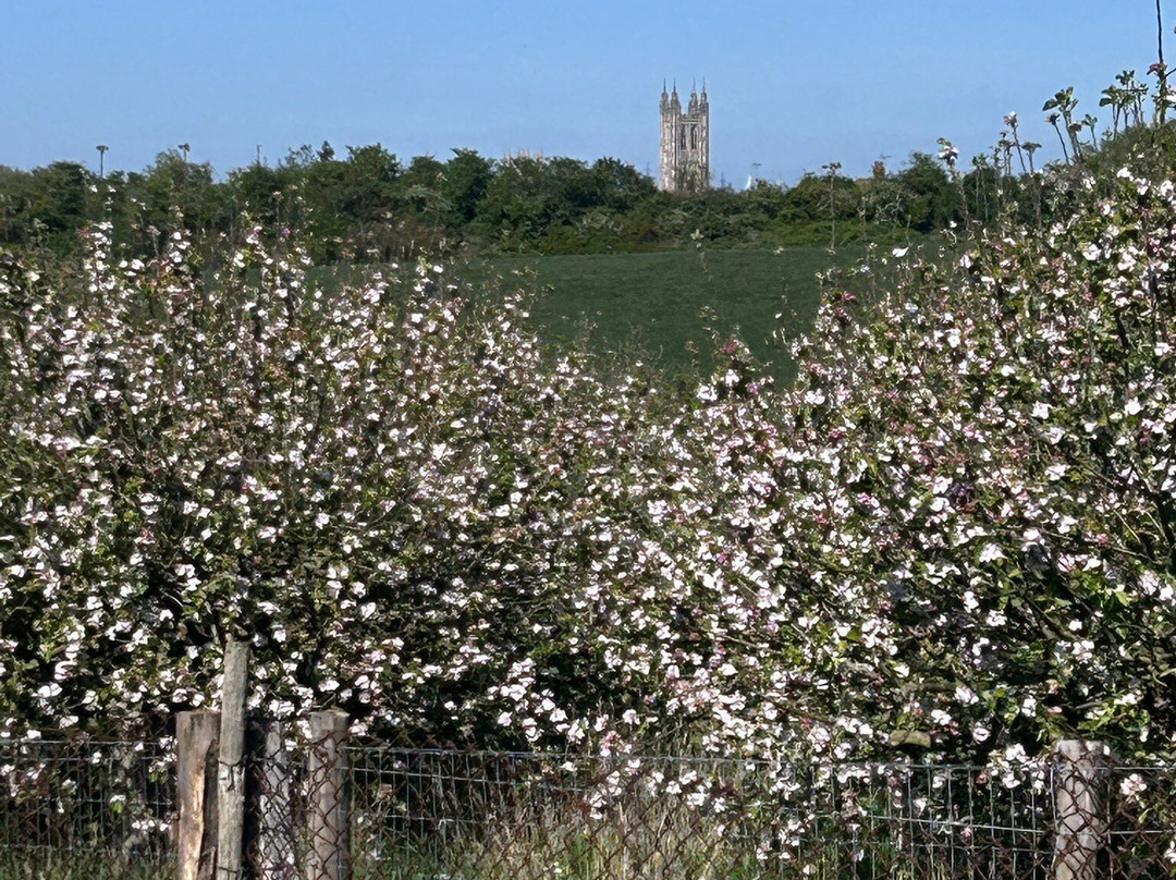 Canterbury Cathedral Panoramic Viewpoint-坎特伯雷必去景点