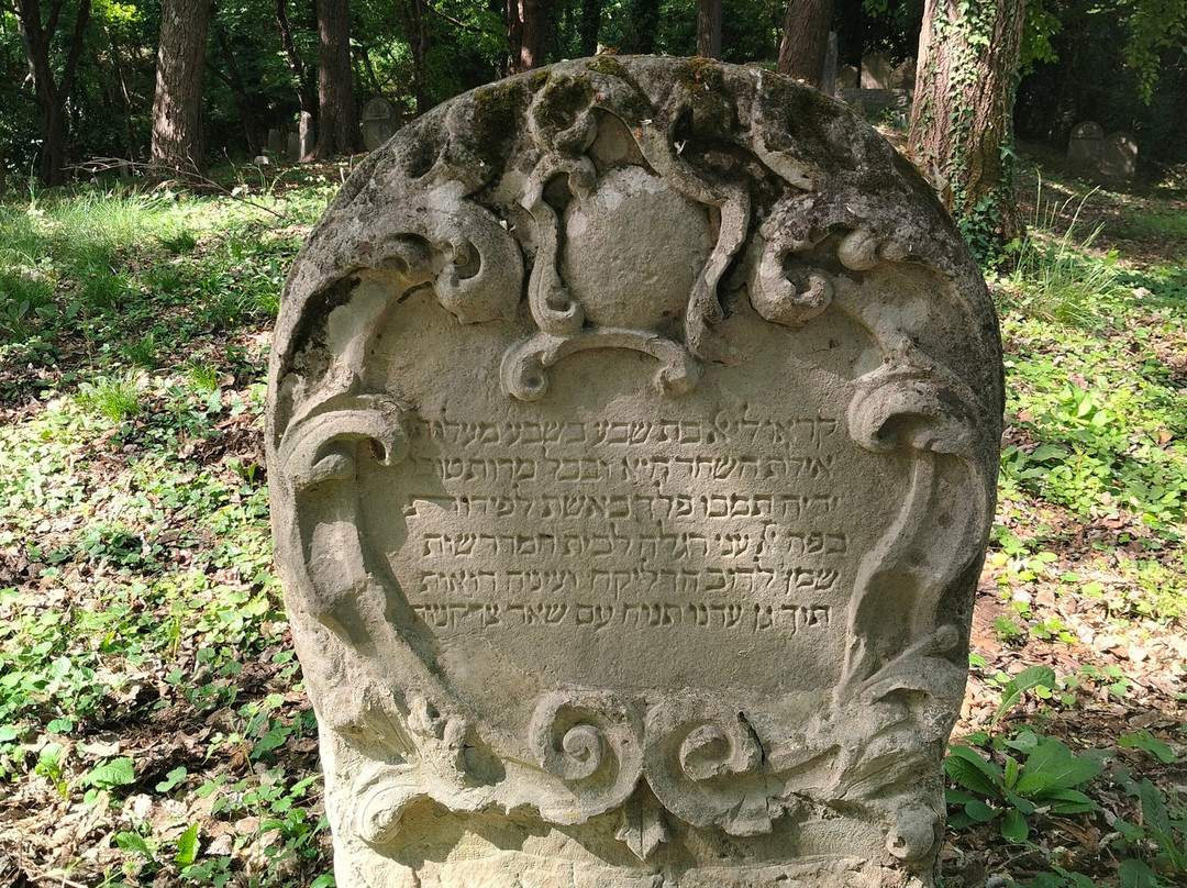 Antico Cimitero Ebraico di Conegliano-科内利亚诺必去景点