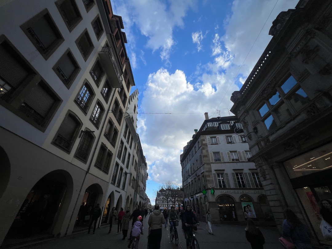 Centre-Ville de Strasbourg-斯特拉斯堡必去景点