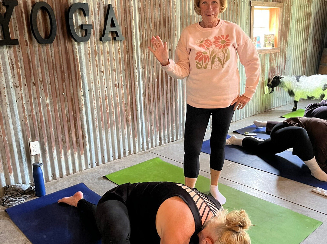Galena Goat Yoga-加利纳必去景点