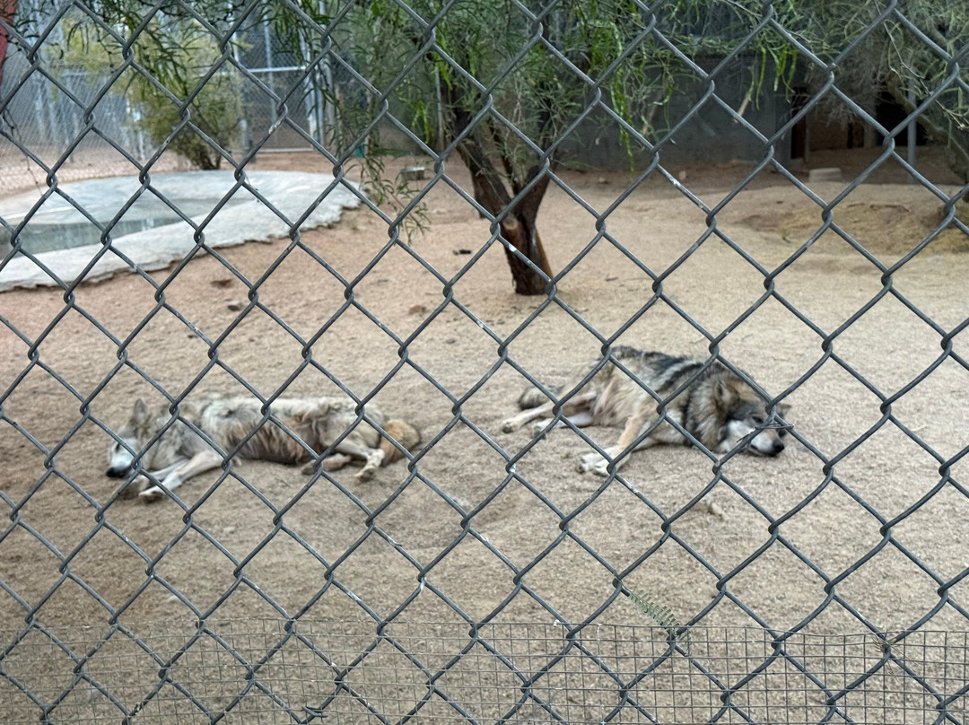 Southwest Wildlife Conservation Center-斯科茨代尔必去景点