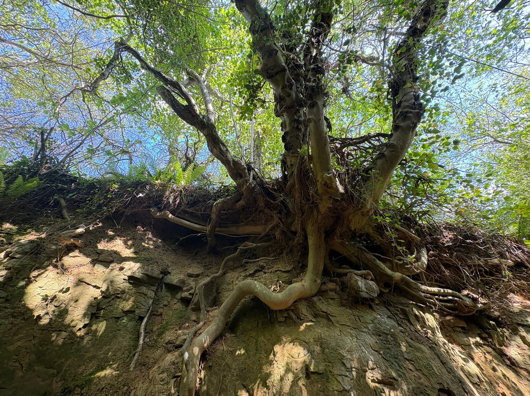 Symondsbury Estate-Symondsbury必去景点