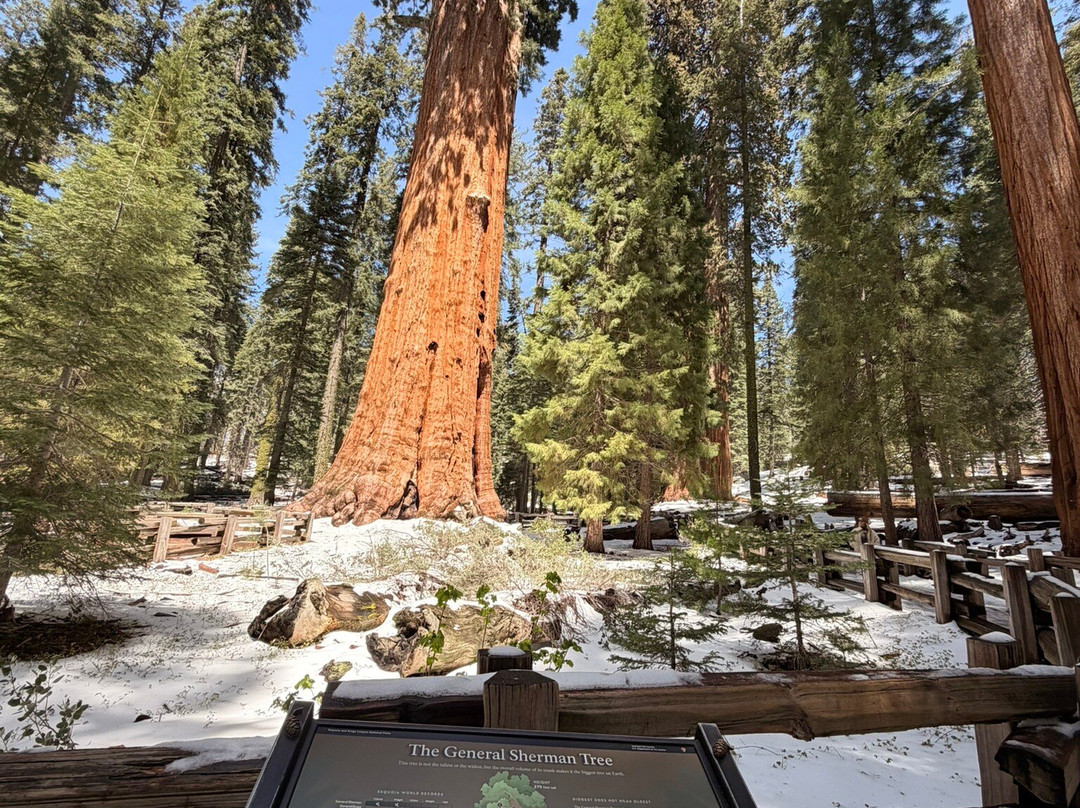 Sequoia and Kings Canyon National Parks-Three Rivers必去景点