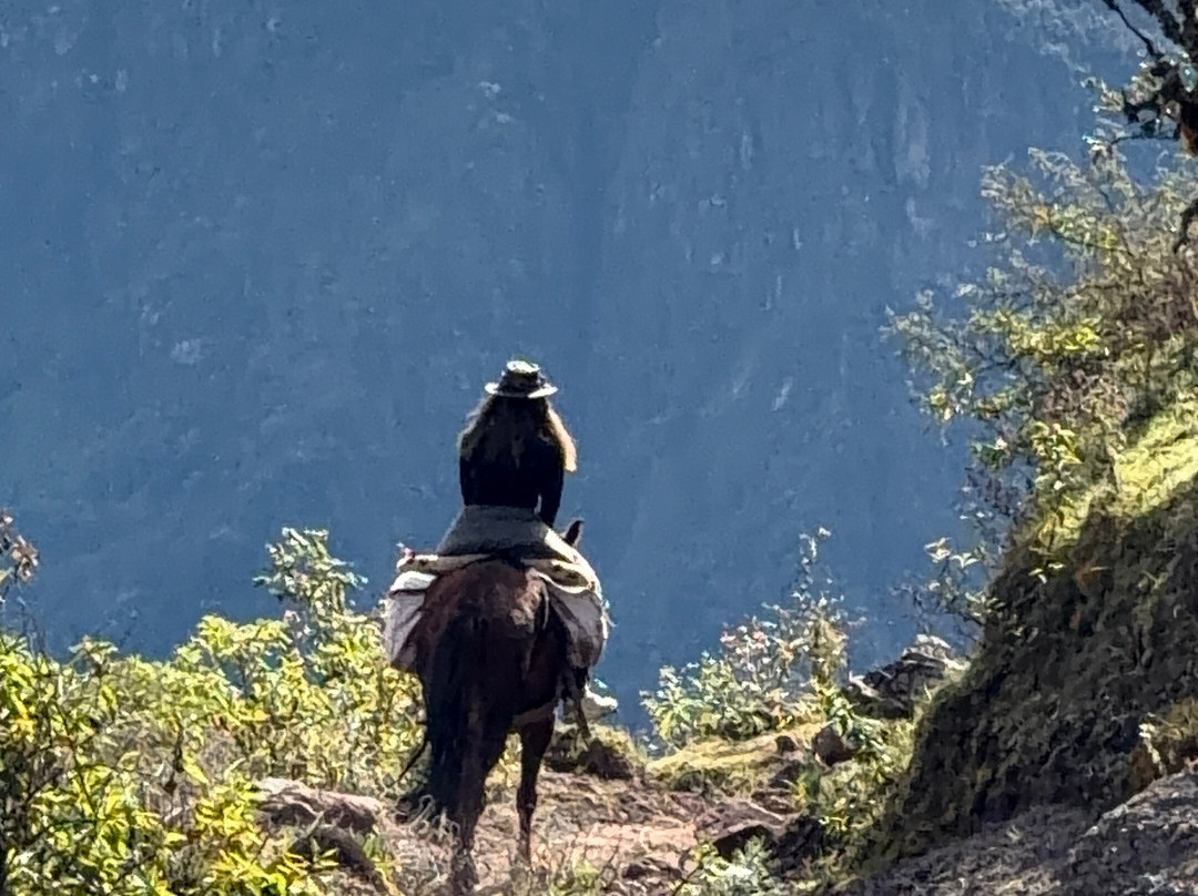 Paraíso De Las Yungas-Valle Grande必去景点