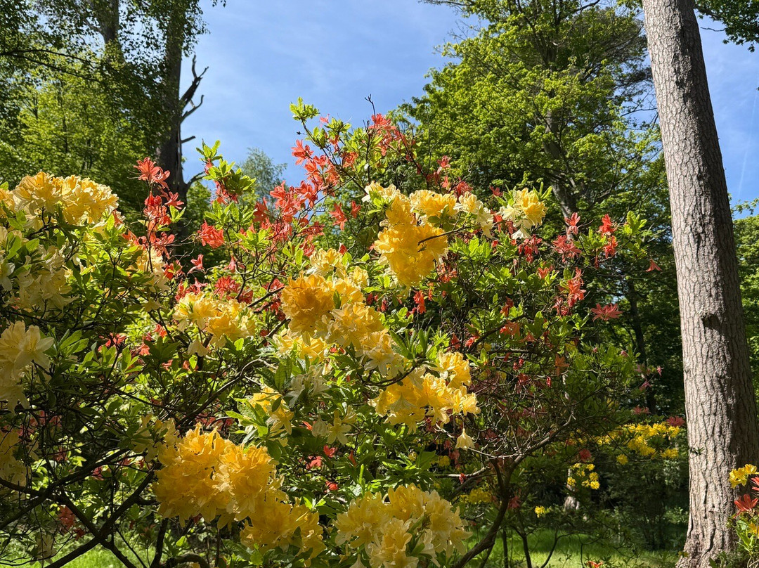 Sheringham Park-Sheringham必去景点