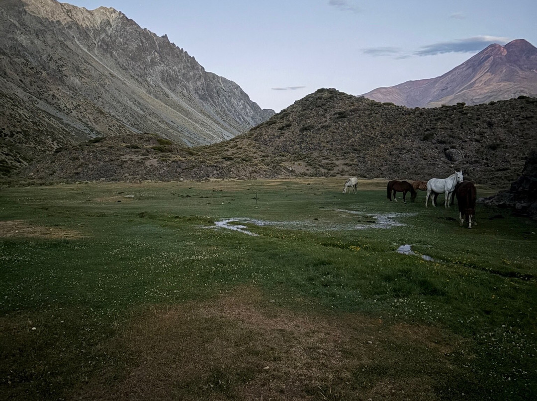 Chile Horse Riding-Panimavida必去景点