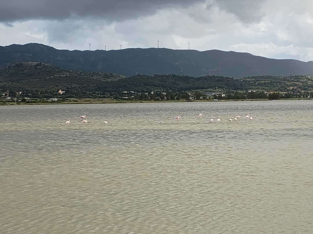 Alikes Salt Lakes Tigaki-Tigaki必去景点