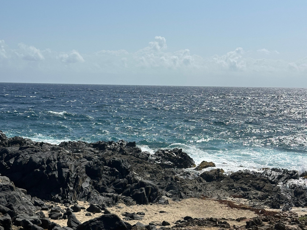 ABC Tours Aruba-奥腊涅斯塔德必去景点