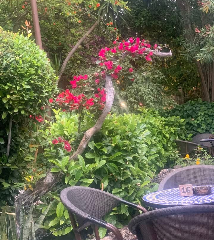 Socratous Garden-罗德城必去景点