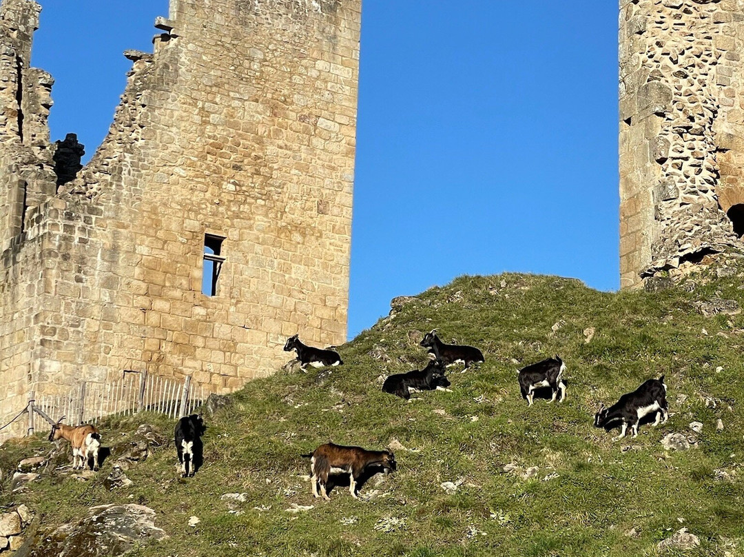 Château de Crozant-Crozant必去景点