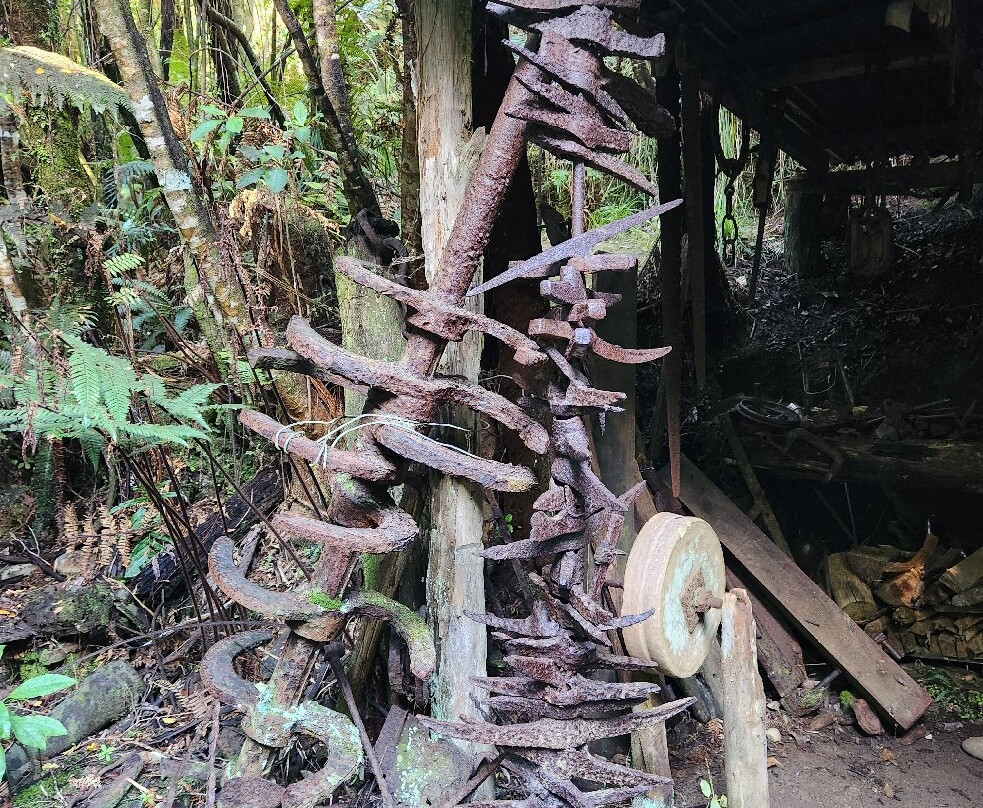 Mitchells Gully Goldmine-Charleston必去景点