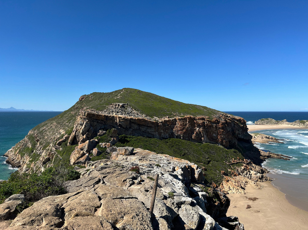Robberg Nature Reserve-普利登堡湾必去景点