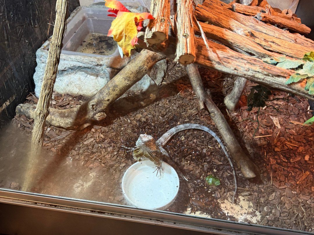 Aquarium Terrarium-克尔克必去景点