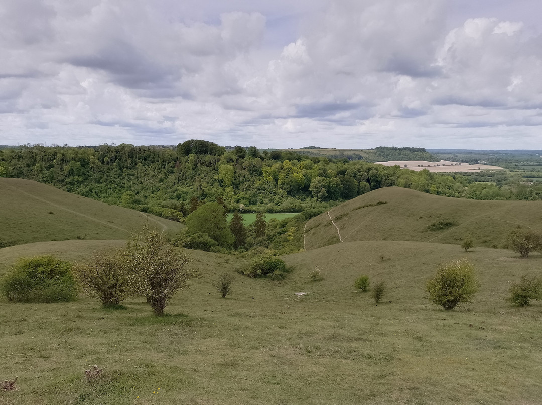 The Barton Hills National Nature Reserve-卢顿必去景点
