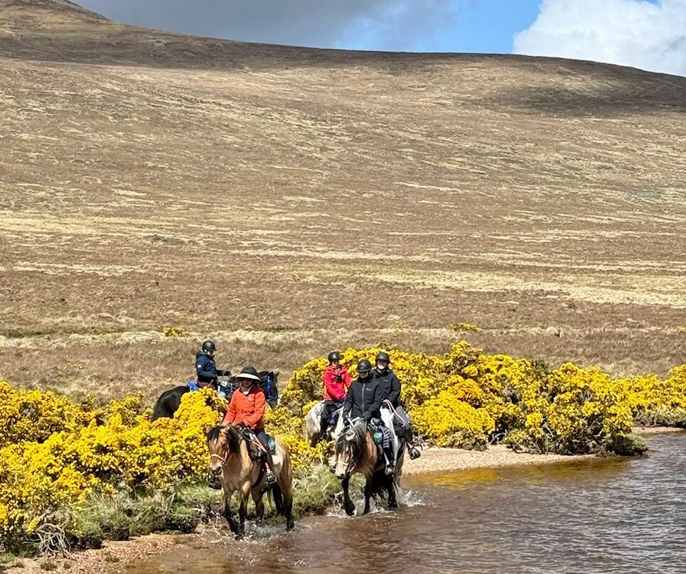 Highlands Unbridled Trail Riding & Trekking Centre-Aboyne必去景点