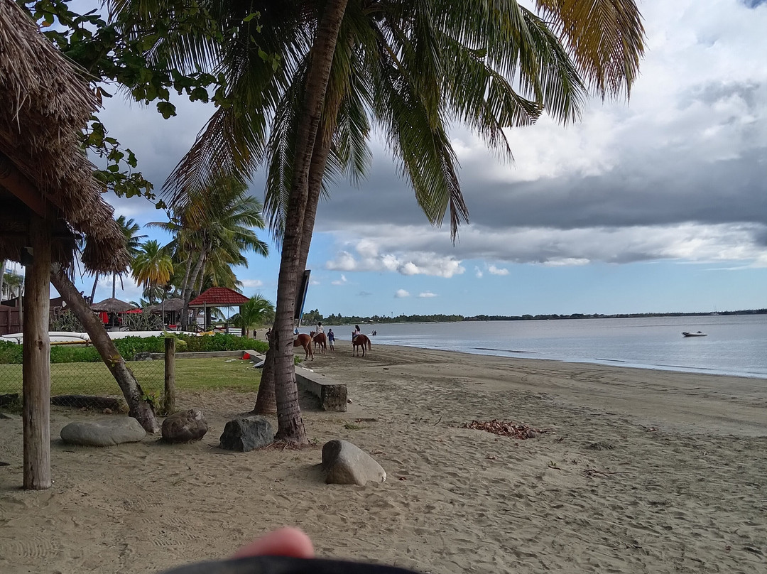 Wailoaloa Beach-纳迪市必去景点