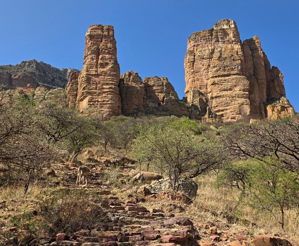 Liyu Ethiopia Tours-亚的斯亚贝巴必去景点