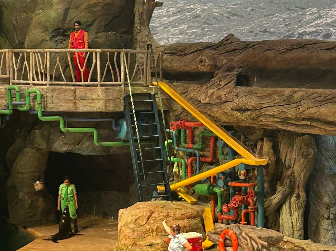 SeaWorld Yas Island Abu Dhabi-阿布扎比必去景点