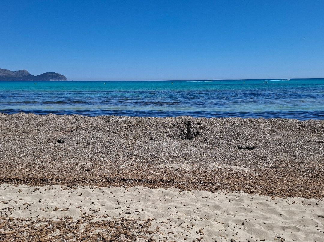 Playa de Ca'n Picafort-Ca'n Picafort必去景点