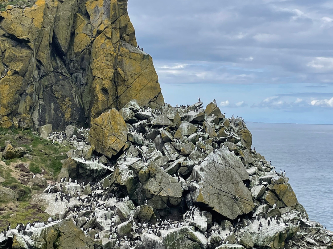 Tiree Sea Tours-Isle of Tiree必去景点