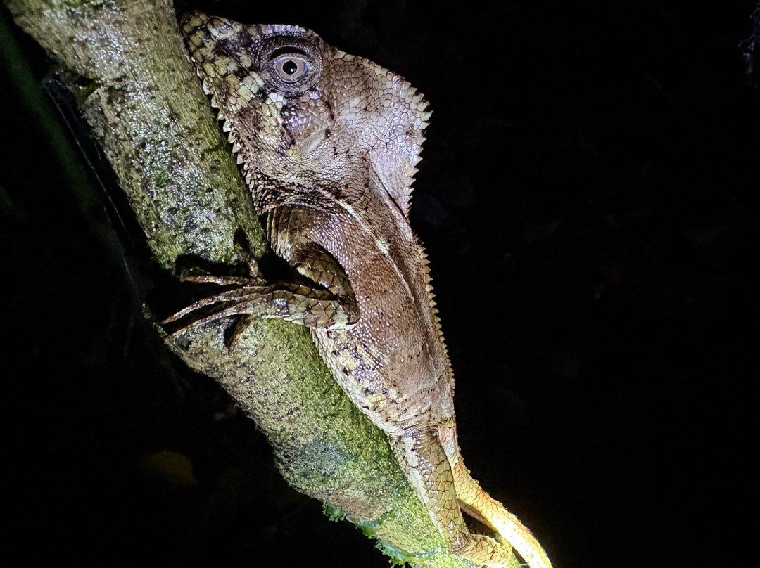 Arenal Oasis Wildlife Refuge-福德圣卡洛斯必去景点