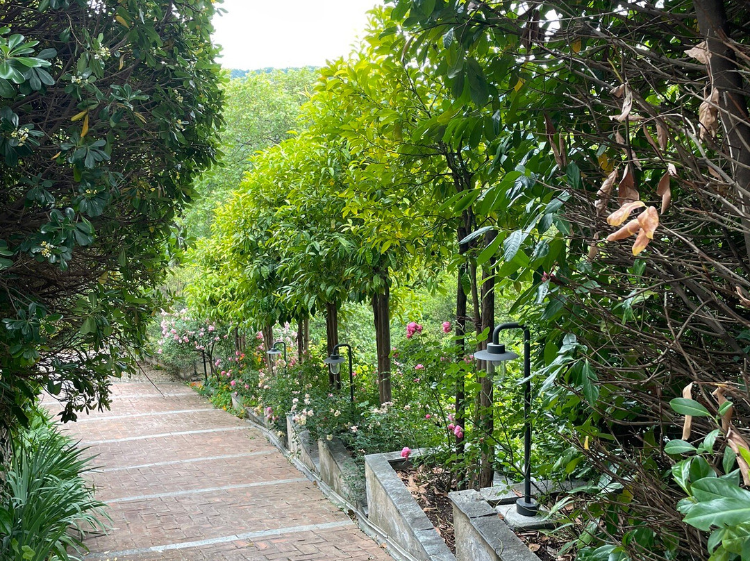 Casa Carpe Diem A Villa Barca主图