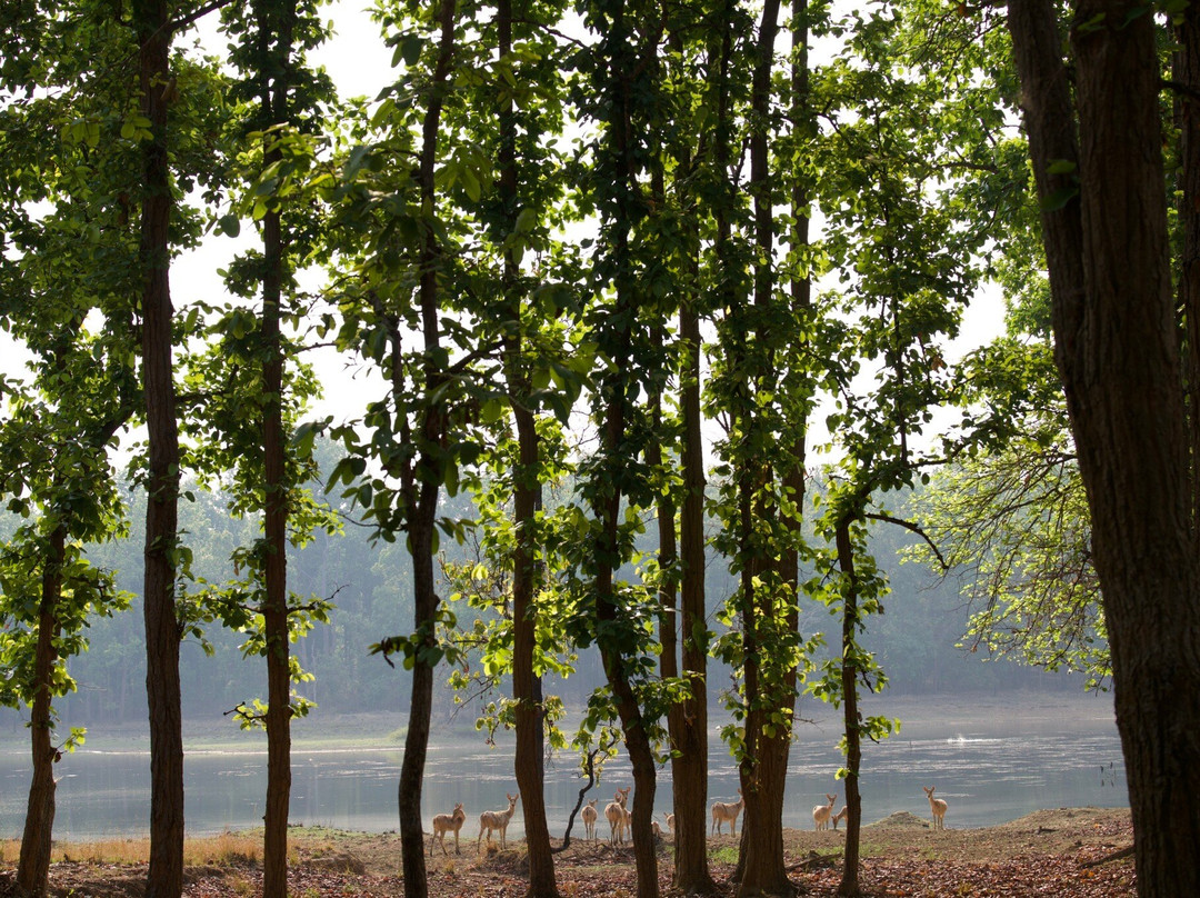 Sahil Tours And Travels-Umaria必去景点