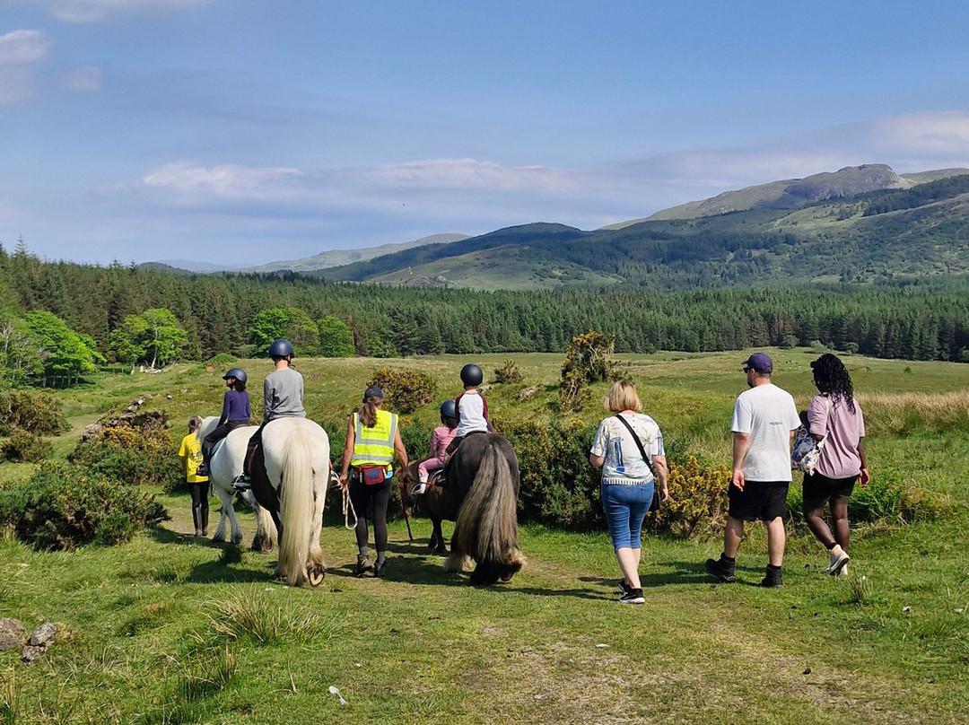 Mull Pony Trekking-马尔岛必去景点
