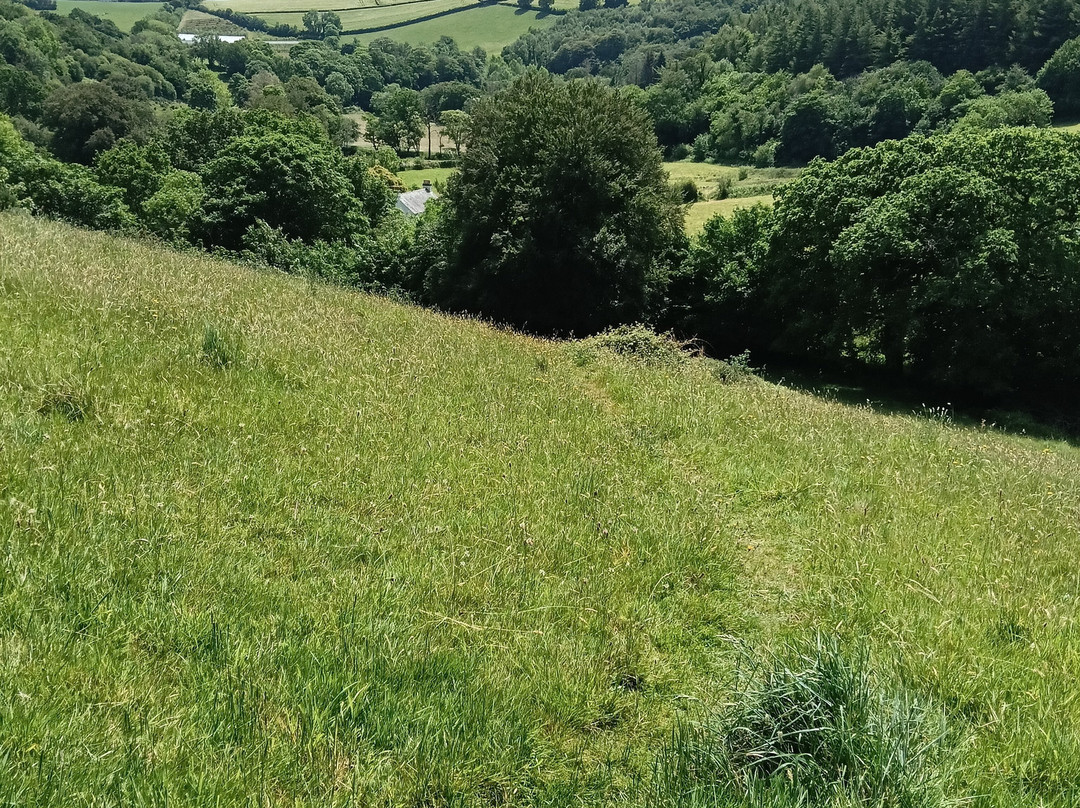 St Neot Two Valleys-St. Neot必去景点