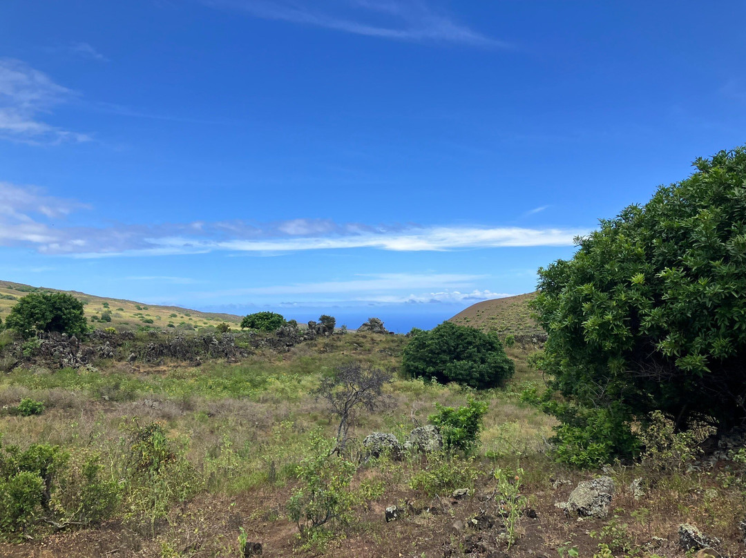 Triple L Ranch Horseback Tours-库拉必去景点