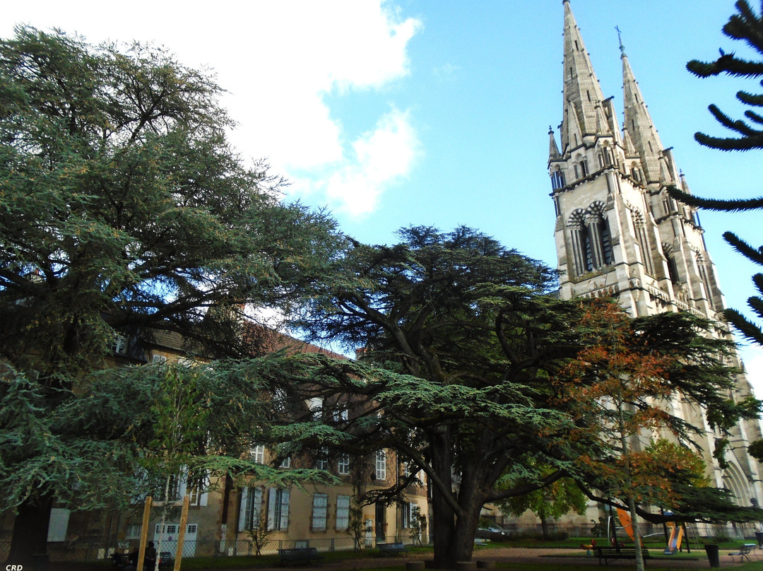 Cathédrale Notre-Dame-de-l'Annonciation-穆兰必去景点