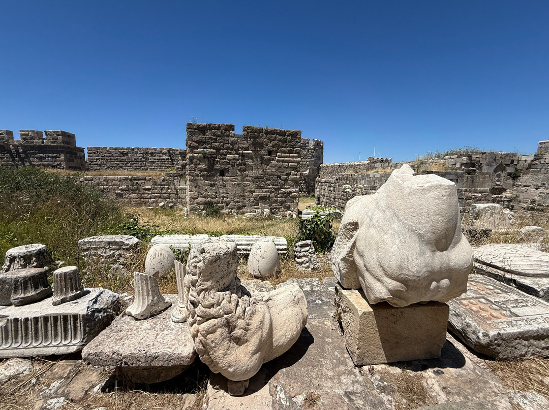 Kos Town Castle-Kos Town必去景点