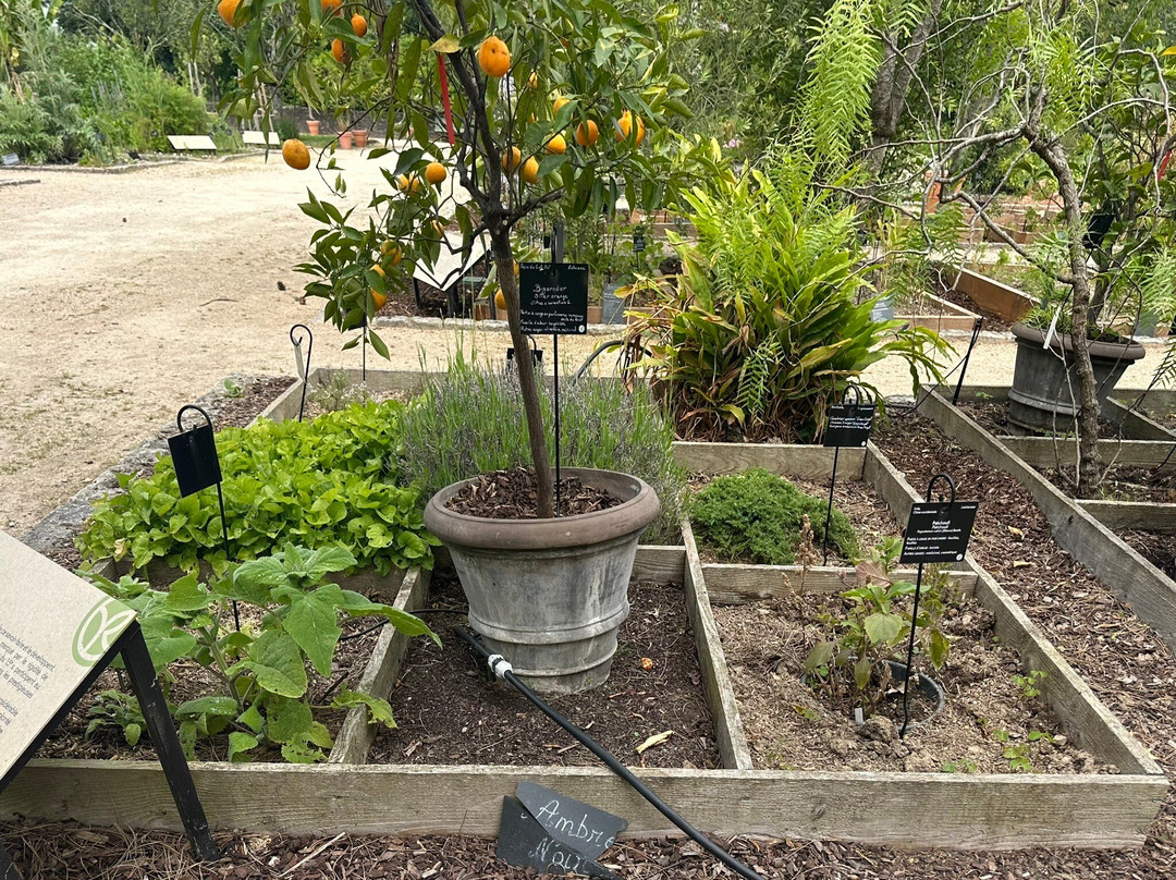 Jardin Botanique-La Gacilly必去景点