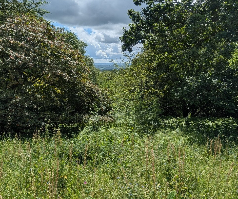 Emmetts Garden-Sevenoaks必去景点