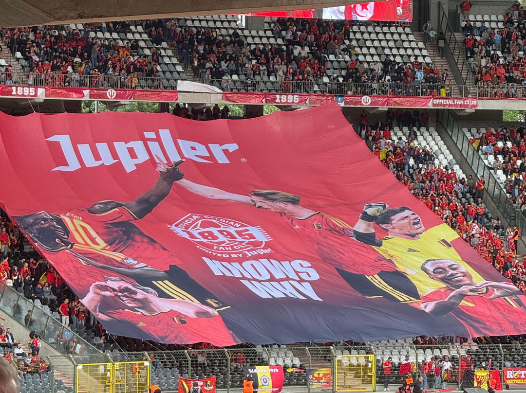 Koning Boudewijnstadion-布鲁塞尔必去景点