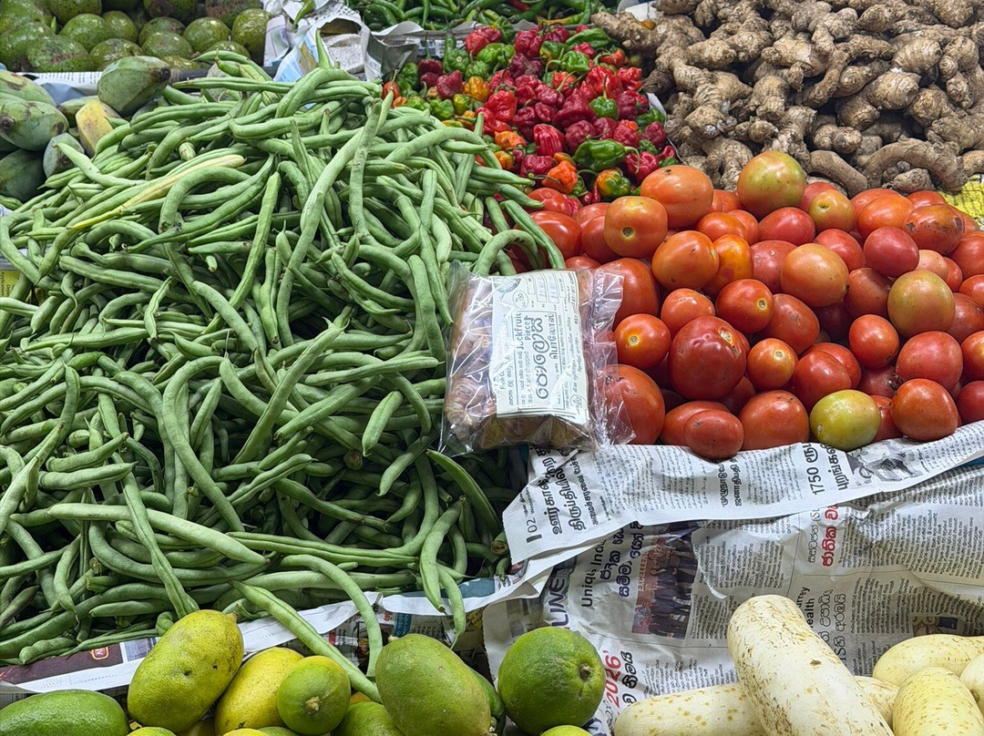 Tony Sri Lanka Tours-亚洪加拉必去景点