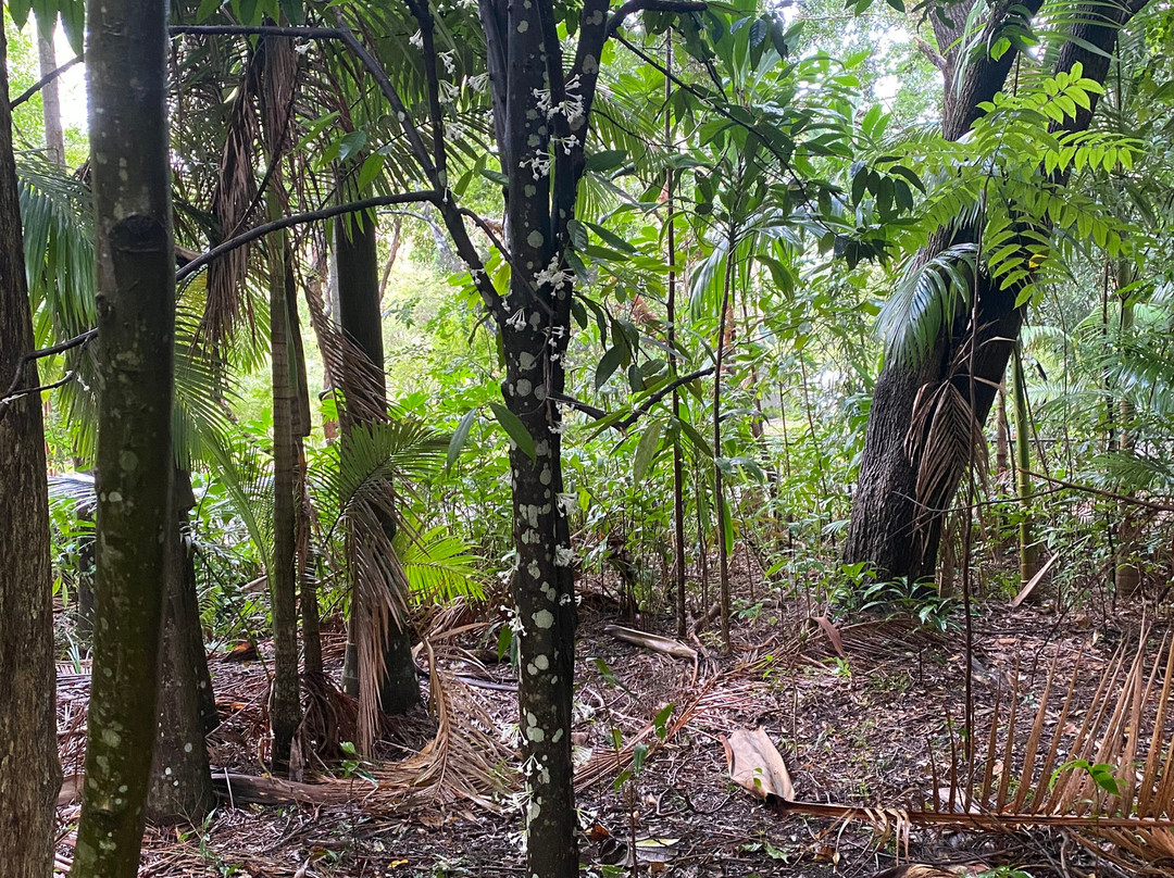 Fairhill Adventure Gardens-Ninderry必去景点