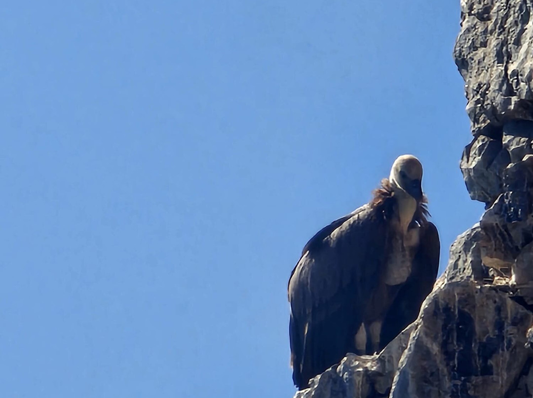Monfrague Natural Ecoturismo-Malpartida de Plasencia必去景点