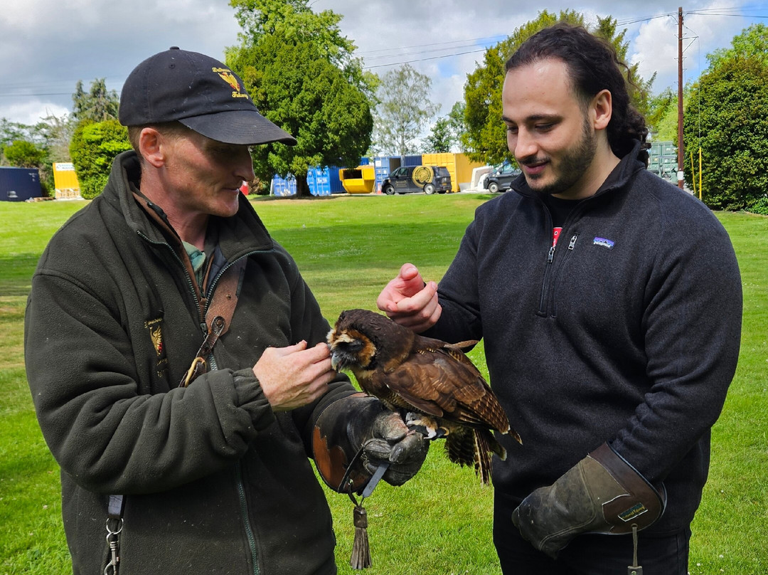 Dalhousie Castle Falconry-邦尼里格必去景点