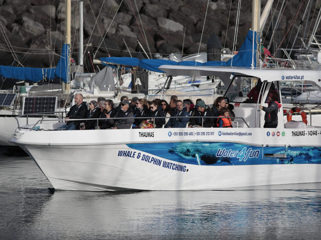 Water4fun - Whale Watching Terceira island-亚速尔群岛英雄港中心区必去景点