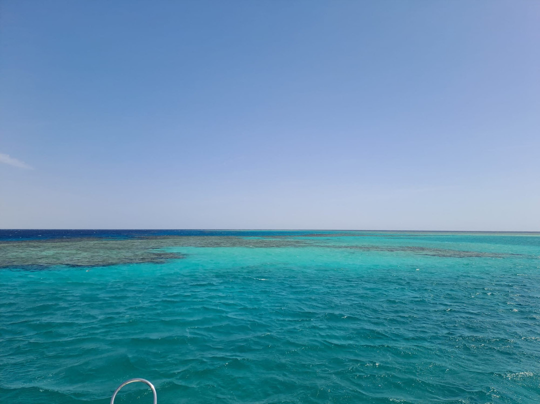 Wadi El Gemal National Park-马萨阿拉姆必去景点
