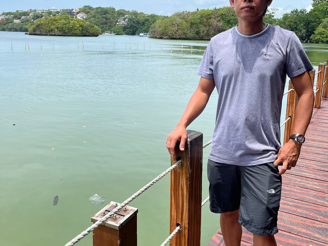 Mangrove Nursery-长滩岛必去景点